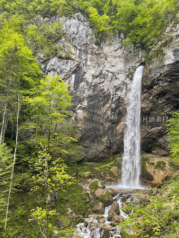 Wildensteiner Wasserfall在奥地利的春天